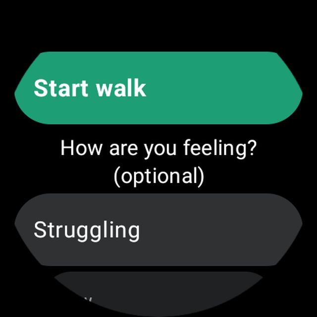 Start a walk on the watch.